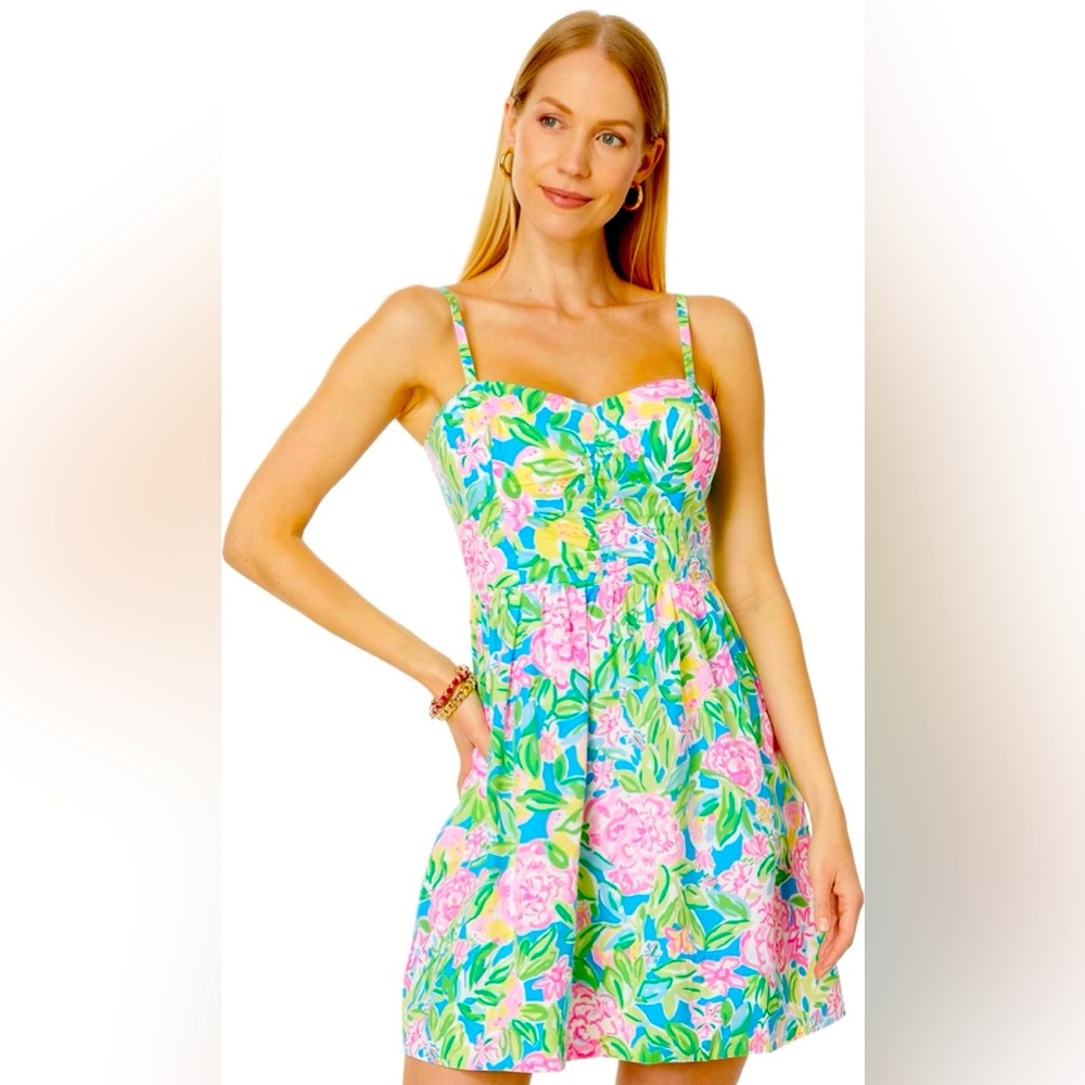 Lilly Pulitzer Ilana dress size 4 NWT